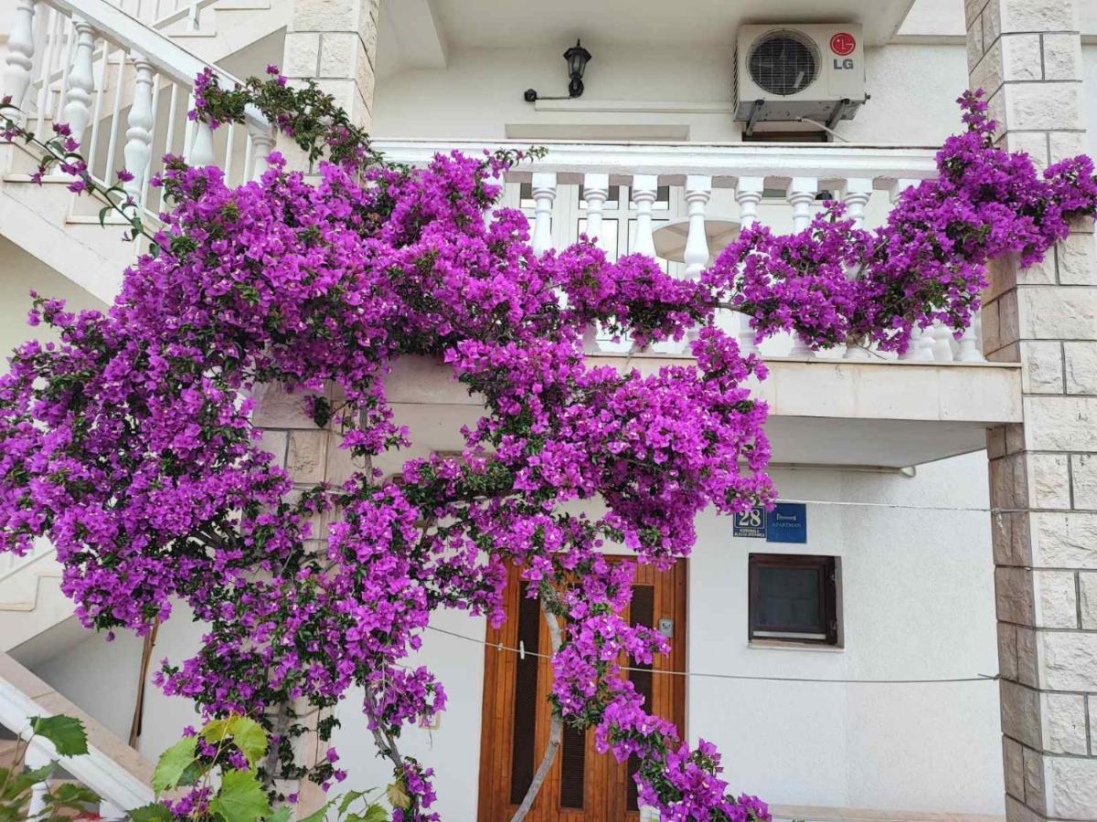 Apartments Dodik أوروبيتش المظهر الخارجي الصورة